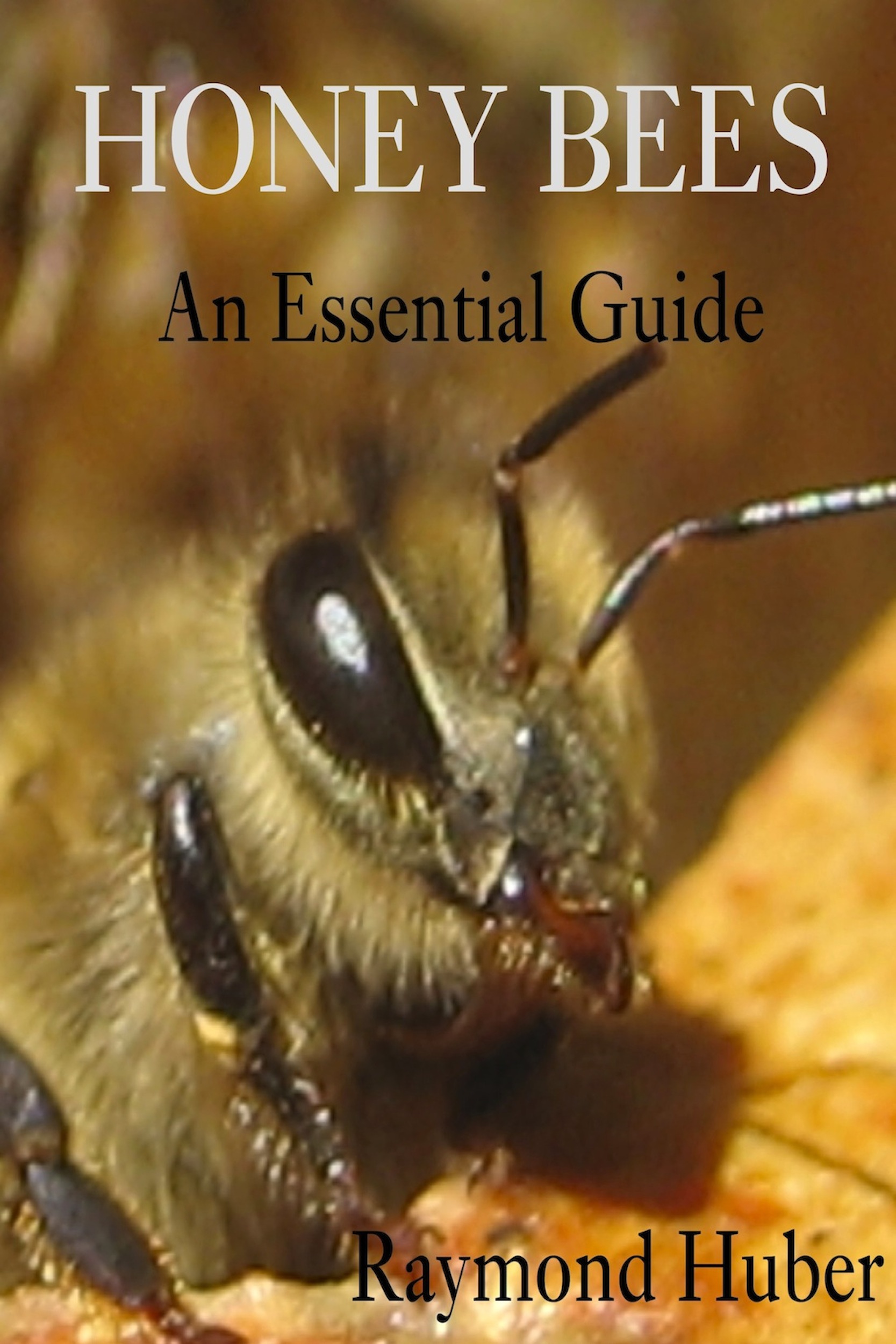 Raymond Huber: Bee Book Download